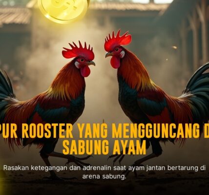 Inilah Jenis Ayam Direbutkan di Sabung Ayam SV388