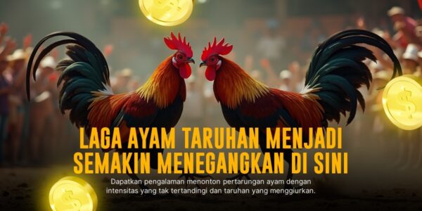 Mengenal Sabung Ayam SV388: Jenis Ayam, Odds, dan Provider Unggulan