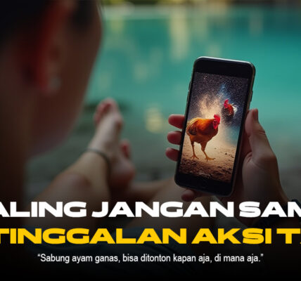 Mengenal Jenis Ayam Petarung di Sabung Ayam SV388