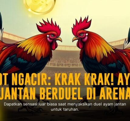 Mengenal Jenis Ayam Aduan dan Odds di SV388 Sabung Ayam