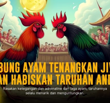 Mengenal Ayam Aduan Bangkok di SV388