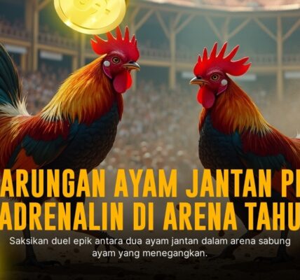 Odd dan Jenis Ayam Unggulan di SV388 Sabung Ayam