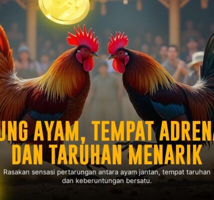 Mengenal Jenis Ayam Aduan di Sabung Ayam SV388