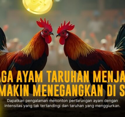 Mengenal Sabung Ayam SV388: Jenis Ayam, Odds, dan Provider Unggulan